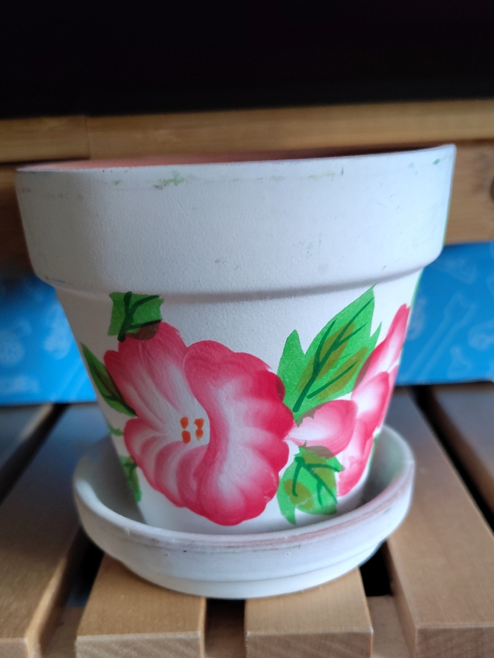 2/💲10 - Small Floral Plant Pot